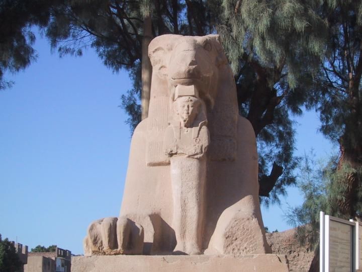 Sphinx from Luxor Temple