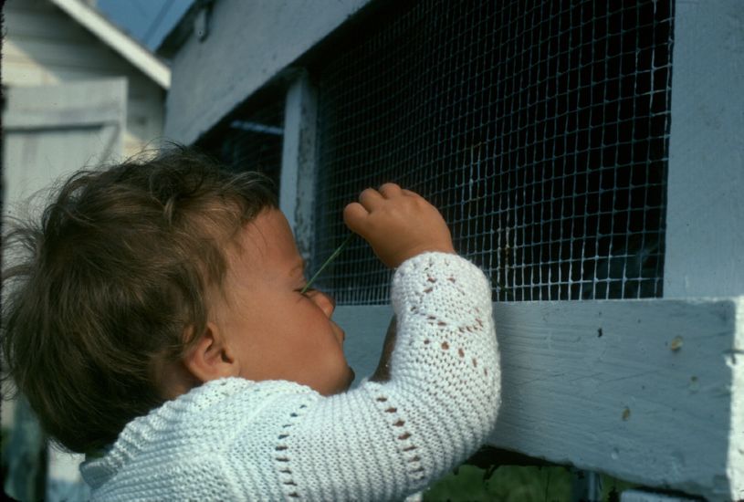  at Windy Acres Farm in Ohio, summer 1975