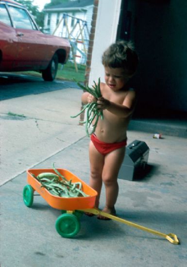   with freshly picked  beans, summer 1975