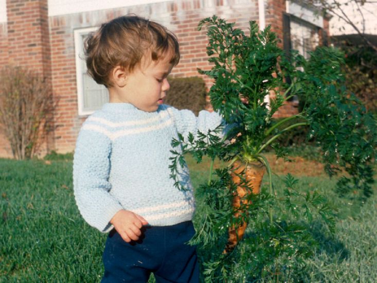  just picked from garden, Fall 1975